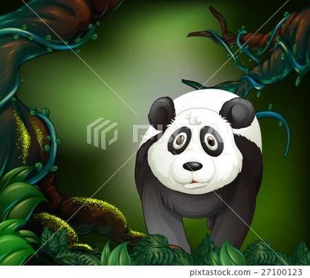 Panda in a rain forest Panda in a rain forest 27100123