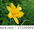 Takinezan的Nikko Kishge 27100909