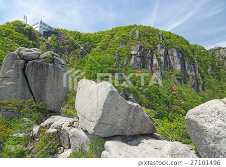 在Mikado山頂附近的新的綠色風景 27101496