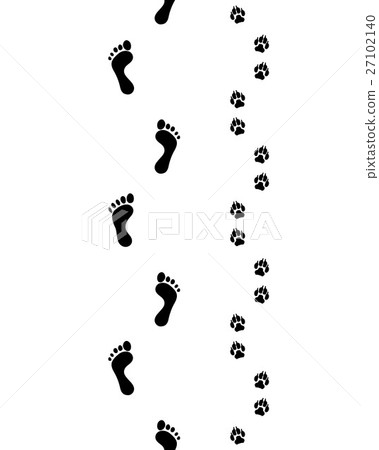 feet and paws feet and paws 27102140