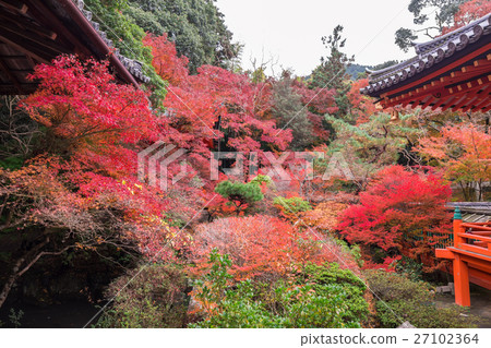 秋天的Bishamon門衛 27102364