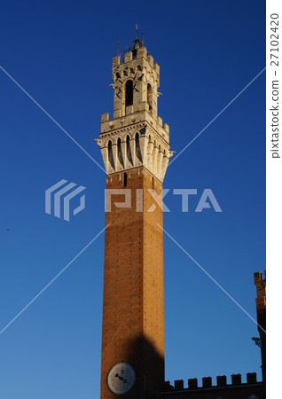 Tower of Manja in Siena, Italy 27102420