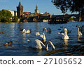 Cruise in Prague A Boat Between Herd of Swans and 27105652