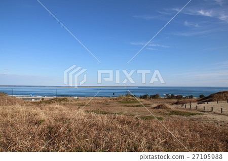 常陸那珂海濱公園的沙丘地區 27105988