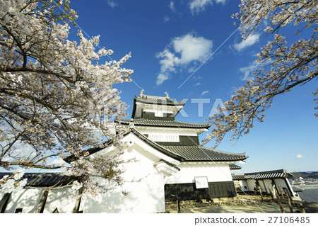 Beautiful contrast of cherry blossoms in full bloom and blue sky coloring the Shirakawa Komine Castle recovery ceremony damaged by the Great East Japan Earthquake Beautiful contrast of cherry blossoms in full bloom and blue sky coloring the Shirakawa Komine Castle recovery ceremony damaged by the Great East Japan Earthquake 27106485