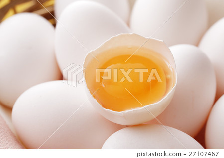 Egg Egg 27107467