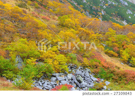 Central Autumn Central Southern Alluvium 27109843