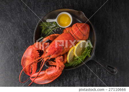 高級龍蝦優質龍蝦 27110666