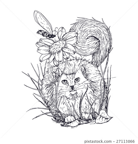 Cat in the grass hunting insect near sunflower Cat in the grass hunting insect near sunflower 27113866