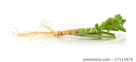 Coriander root on white 27114879