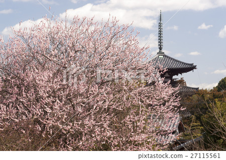 Ume plum triple tower 27115561