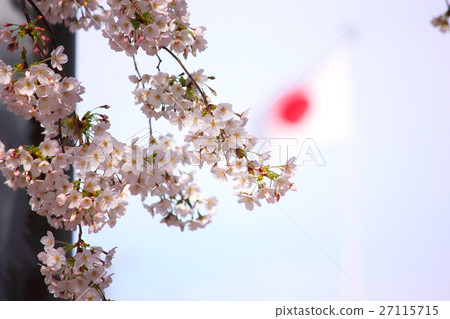 Sakura and the Japanese flag Sakura and the Japanese flag 27115715