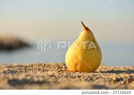 梨在海邊·L'relectier 27116020