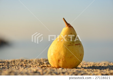 梨在海邊·L'relectier 27116021