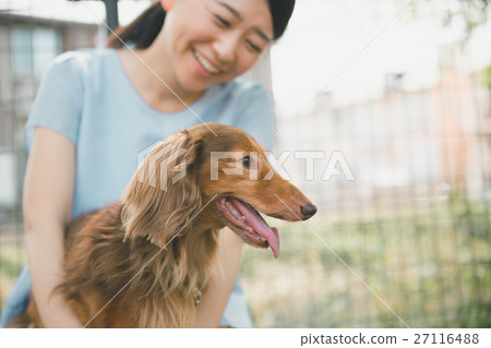 dog, dogs, dog lover 27116488