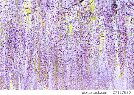 Kuju Fuji Kuju Fuji 27117680