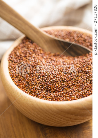 Red quinoa seeds. Red quinoa seeds. 27117826