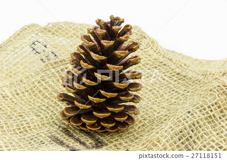 Matsukasa Daio 27118151