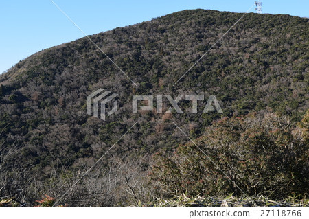 冬季山皮 冬季山皮 27118766