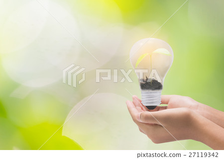 Light bulb in woman hand,Realistic photo image.  27119342