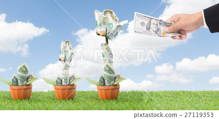 American dollars grow from the ground 27119353