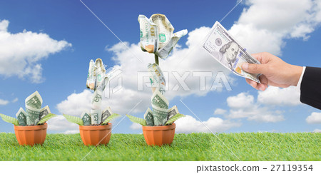 American dollars grow from the ground 27119354
