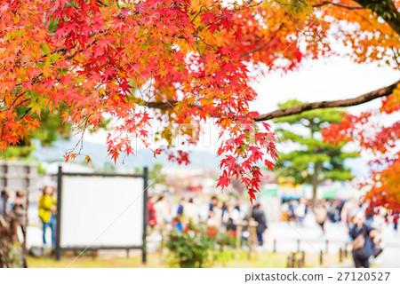 秋葉(嵐山,京都,日本) 秋葉(嵐山,京都,日本) 27120527