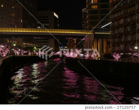 Meguro River Mino's Illuminations Meguro River Mino's Illuminations 27120757