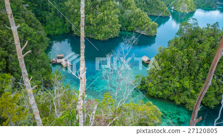 Bamboo Hut in Mangrove, Kabui Bay, Raja Ampat Bamboo Hut in Mangrove, Kabui Bay, Raja Ampat 27120805