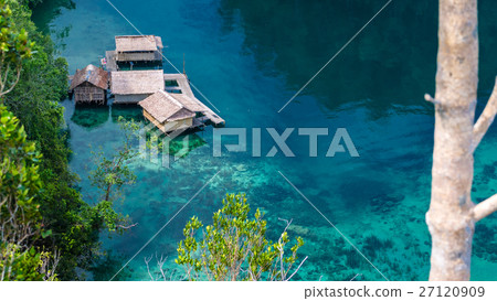 Homestay in Mangrove, Kabui Bay, Raja Ampat Homestay in Mangrove, Kabui Bay, Raja Ampat 27120909