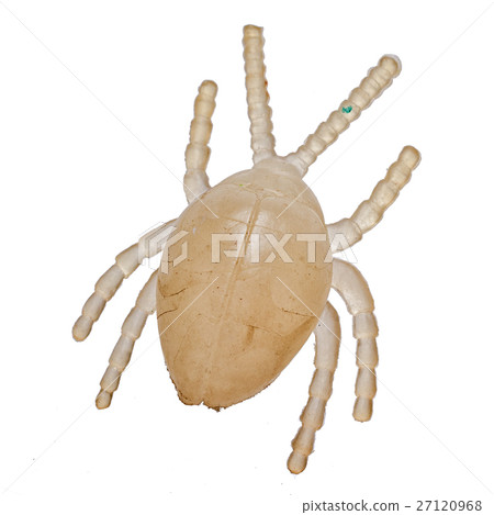 toy replica beetle, isolated on a white background toy replica beetle, isolated on a white background 27120968