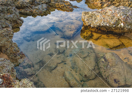 Shoal of tropical fishes near the water surface Shoal of tropical fishes near the water surface 27121998