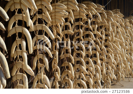Prepare for winter, dried radish 27123586