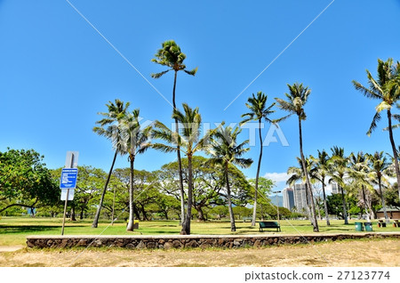 Holidays in Hawaii 27123774