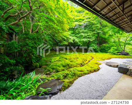 新鮮的綠色Rurikoin的花園 27124730