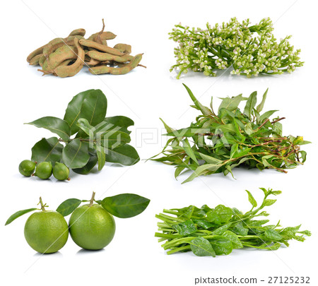 Vietnamese mint, Malabar spinach, sweet orange 27125232