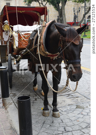 Tourism carriage (Guadalajara, Mexico) 27125534
