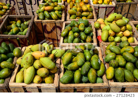 Mango market Sri Lanka Mango market Sri Lanka 27128423