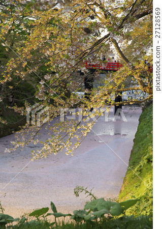 Hirosaki Park Honmaru Shimoda Bridge It is illuminated by the sunset and there are vivid red colored balustrades and flower rafts Hirosaki Park Honmaru Shimoda Bridge It is illuminated by the sunset and there are vivid red colored balustrades and flower rafts 27128569