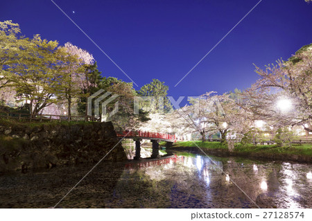 Hirosaki Park's night cherry and Honmaru castle tower reflect on the moat and emerge 27128574