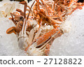 close up of cooked blue crab on ice 27128822