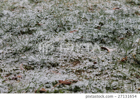 第一場雪 第一場雪 27131654