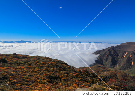 Okuzenyama of autumnal leaves floating in the sea of clouds 27132295