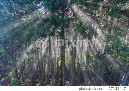 Fantasy Asahi 27132447