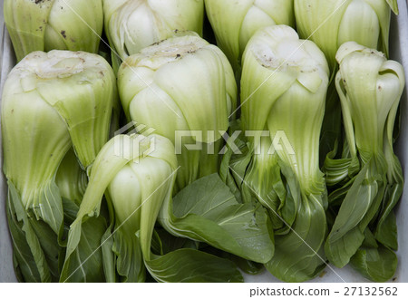 Fresh green Bok choy Chinese cabbage leaves 27132562