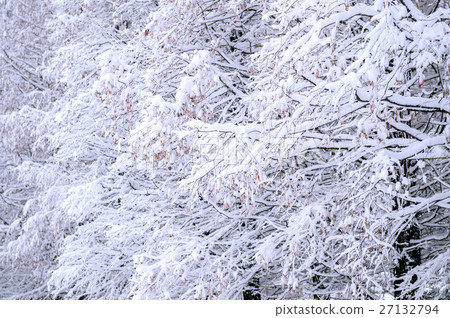 Winter landscape. 27132794