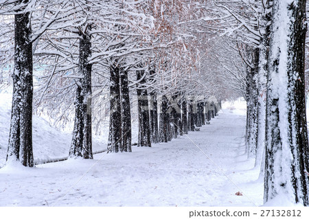 View of bench and trees with falling snow. 27132812