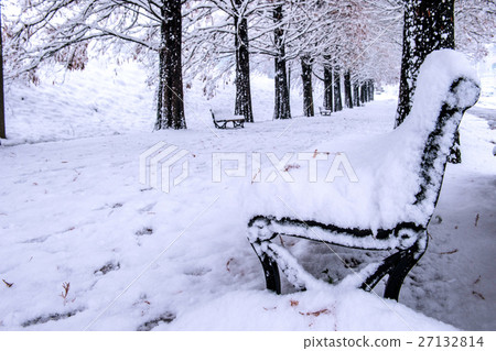View of bench and trees with falling snow. View of bench and trees with falling snow. 27132814