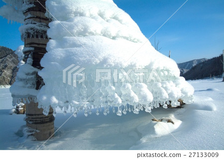 Strange form Icicles on tree at the lake Strange form Icicles on tree at the lake 27133009