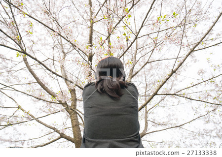 一個女人在櫻花下悲傷 27133338